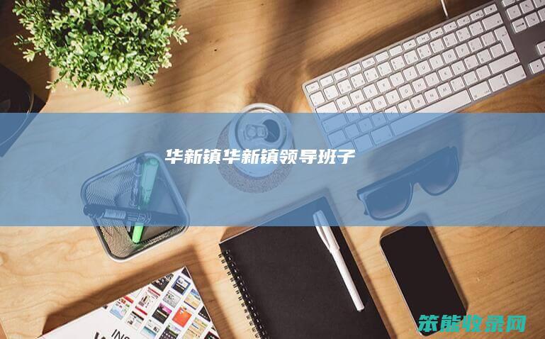 华新镇（华新镇领导班子）