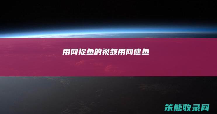 用网捉鱼的视频（用网逮鱼）