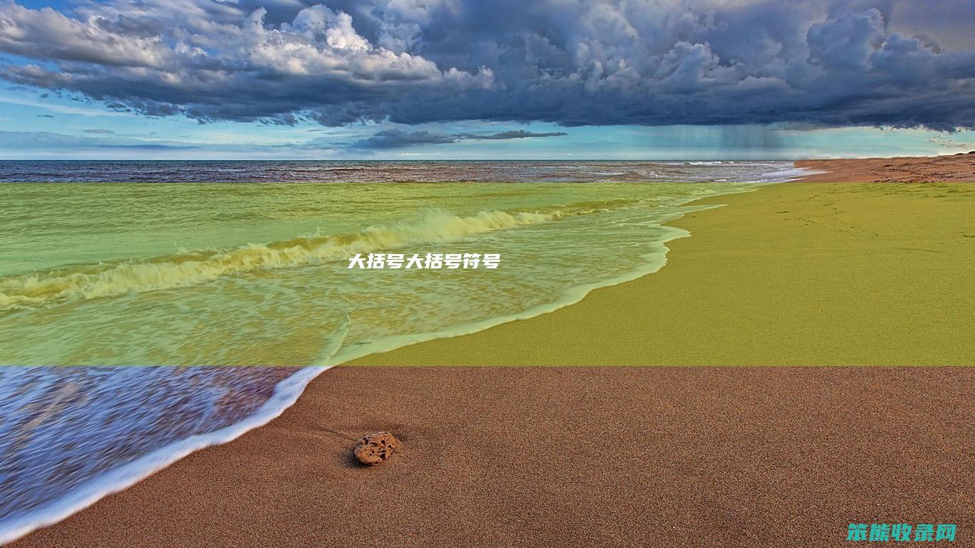大括号（大括号符号）