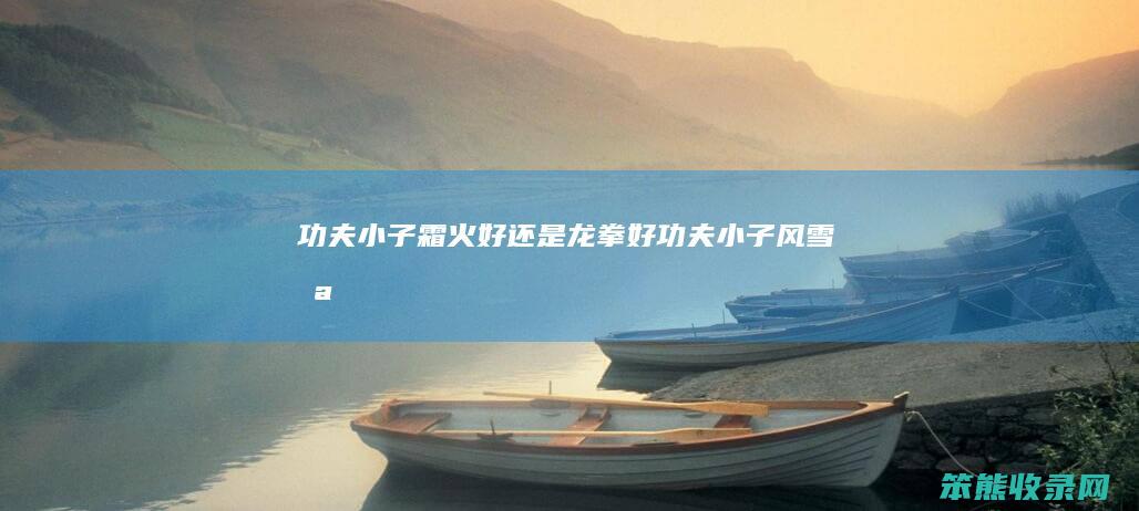 功夫小子霜火好还是龙拳好（功夫小子风雪枪）