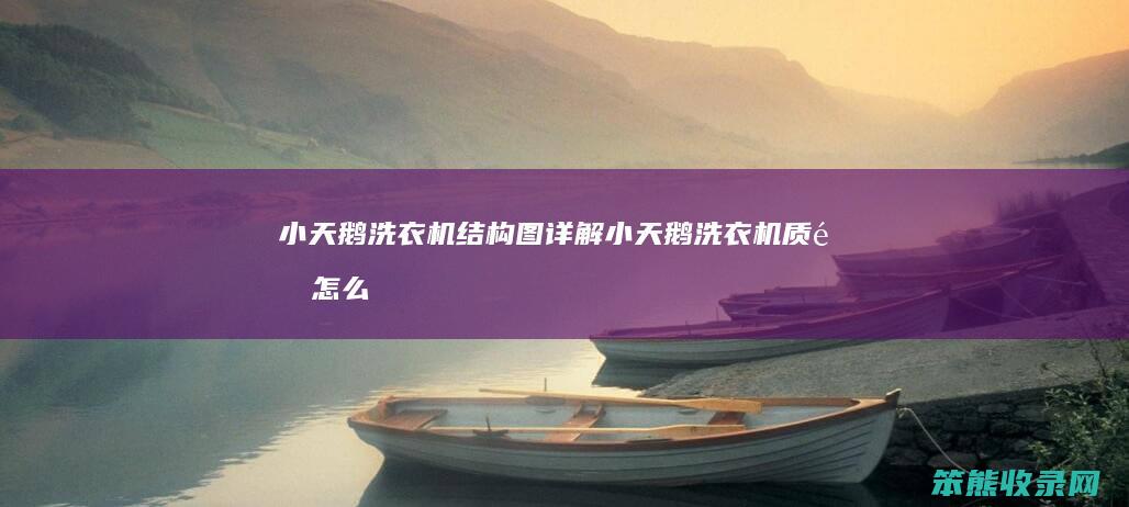 小天鹅洗衣机结构图详解（小天鹅洗衣机质量怎么样）