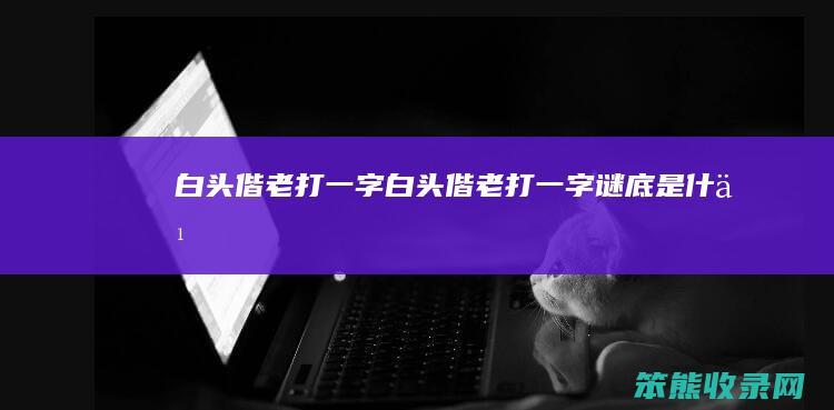 白头偕老打一字（白头偕老打一字谜底是什么）