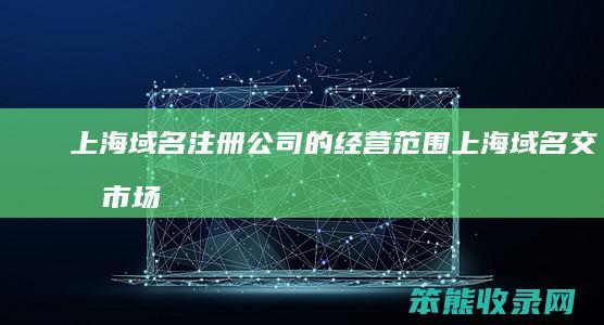上海域名注册公司的经营范围（上海域名交易市场）