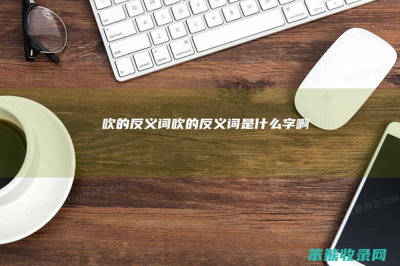 吹的反义词（吹的反义词是什么字啊）
