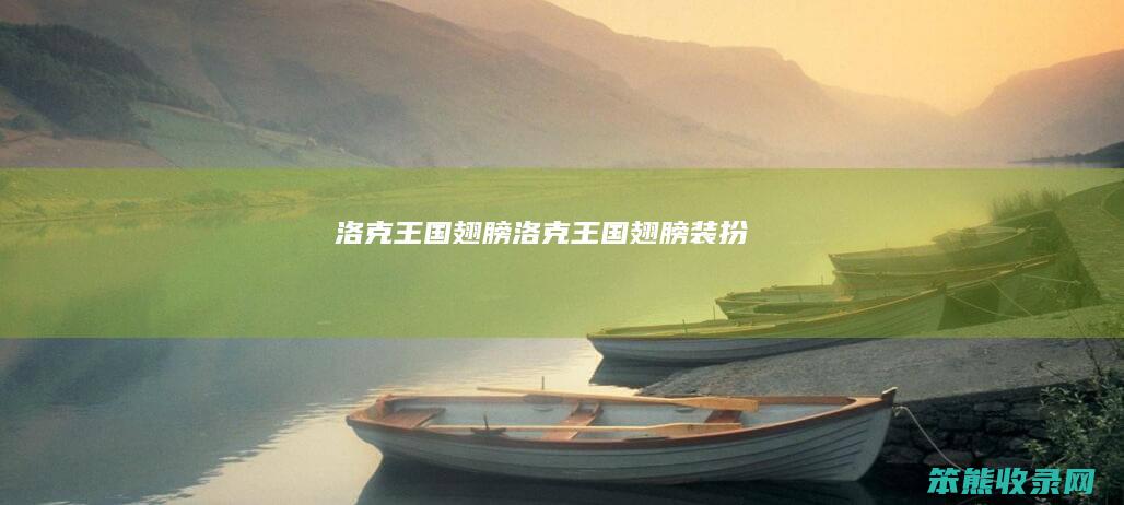 洛克王国翅膀（洛克王国翅膀装扮）