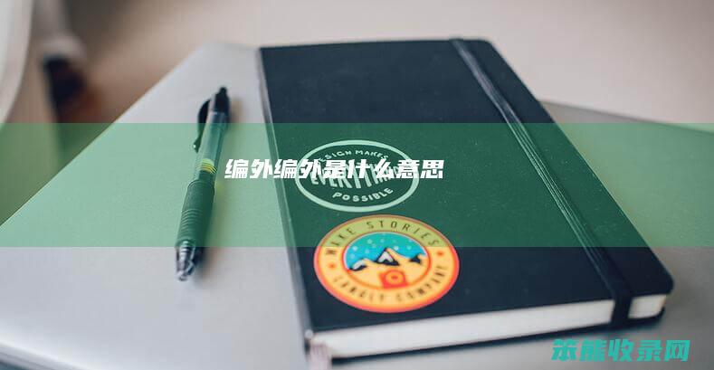 编外编外是