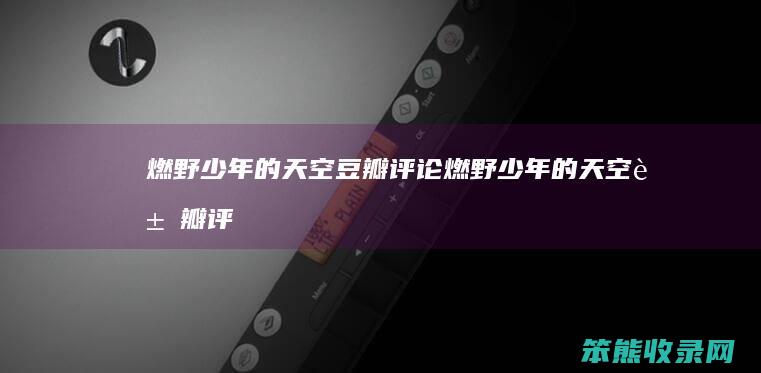燃野少年的天空豆瓣评论（燃野少年的天空豆瓣评分）