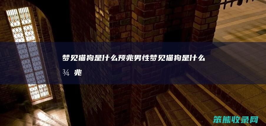 梦见猫狗是什么预兆男性（梦见猫狗是什么征兆）