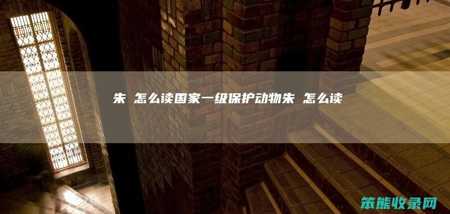 朱鹮怎么读（国家一级保护动物朱鹮怎么读）