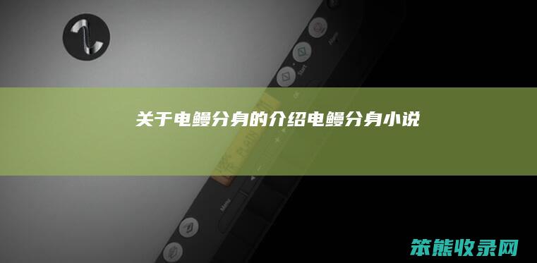 关于电鳗分身的介绍（电鳗分身小说）