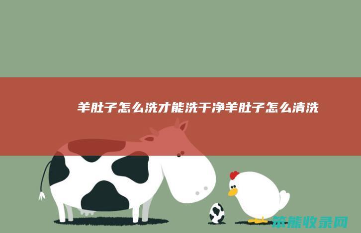 羊肚子怎么洗才能洗干净（羊肚子怎么清洗）