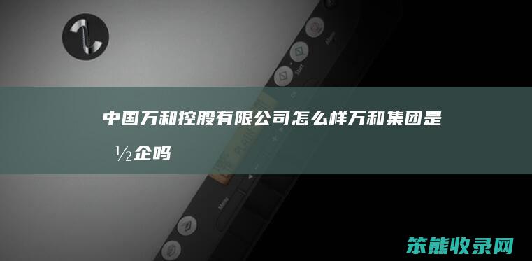 中国万和控股有限公司怎么样（万和集团是国企吗）