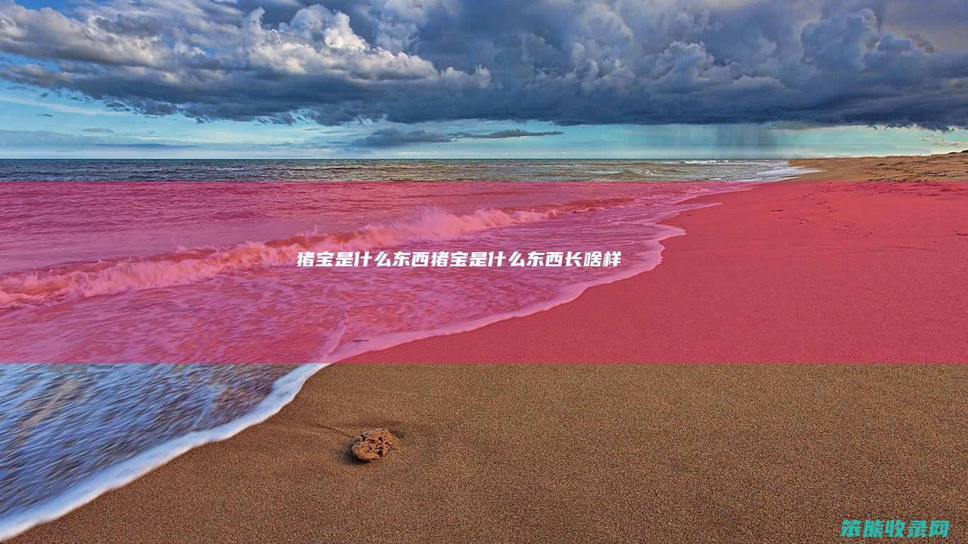 猪宝是什么东西（猪宝是什么东西长啥样）