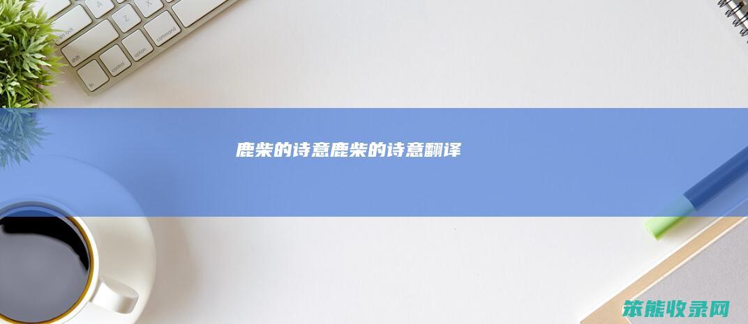 鹿柴的诗意（鹿柴的诗意翻译）