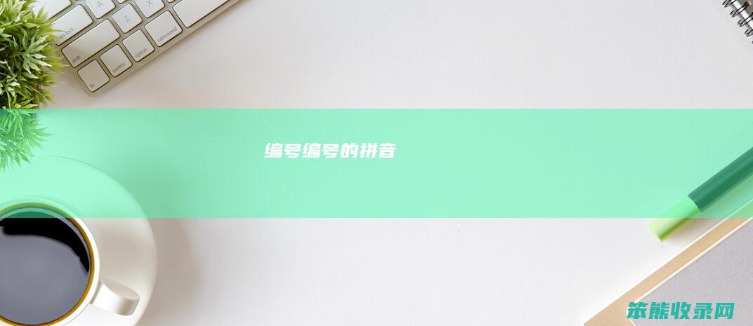 编号（编号的拼音）