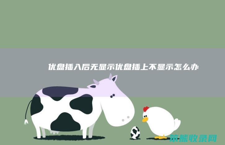 优盘插入后无显示（优盘插上不显示怎么办）