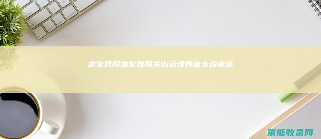 血染残阳（血染残阳关山远埋骨他乡魂未还）
