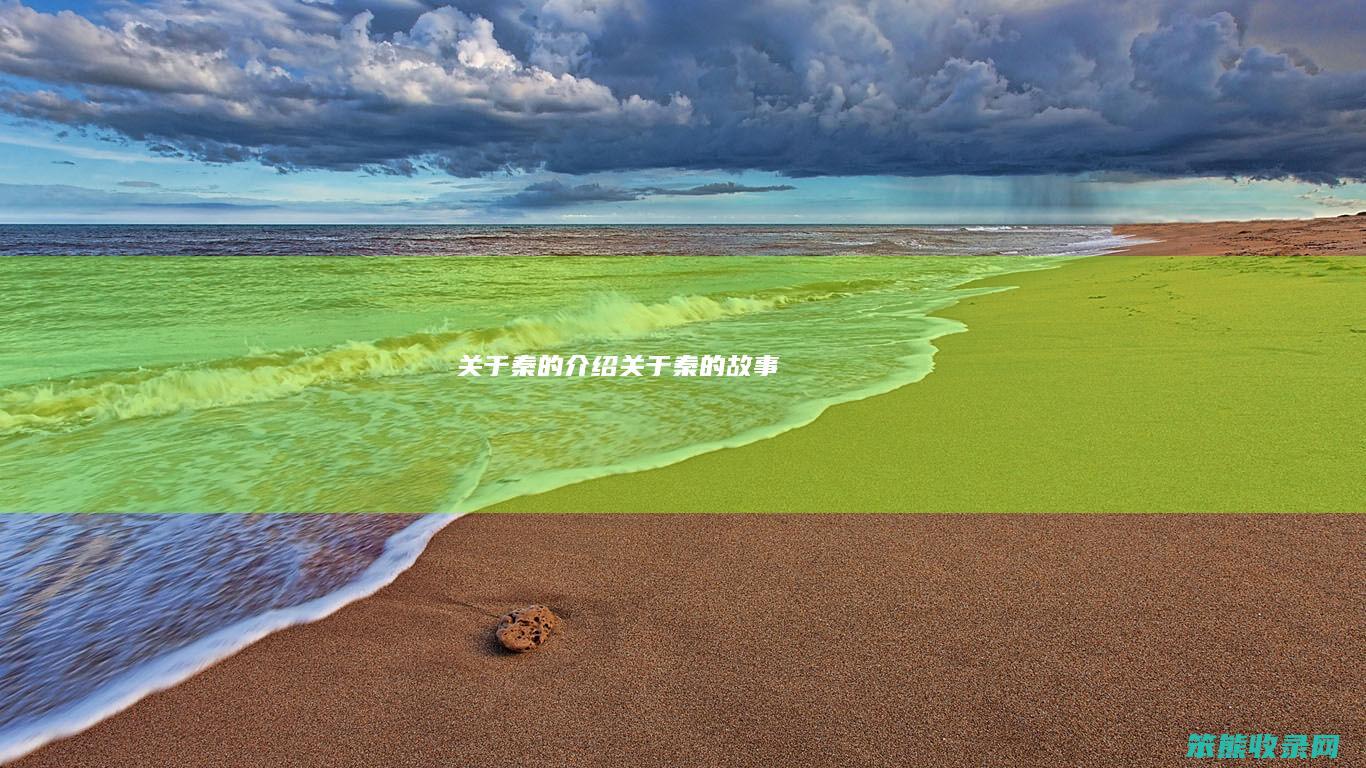 关于秦的介绍（关于秦的故事）