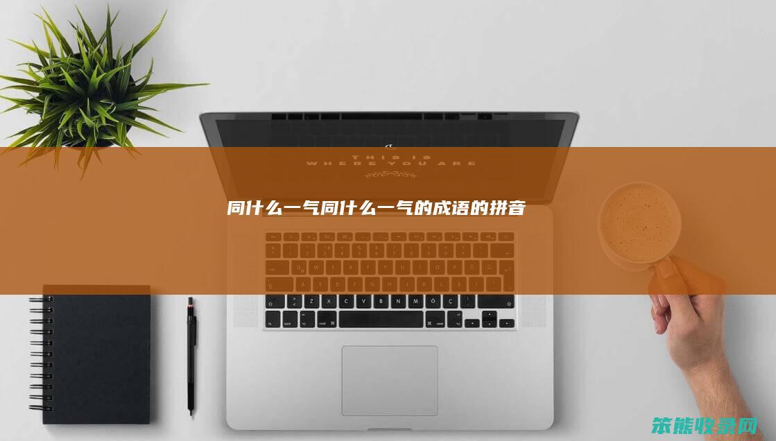 同什么一气（同什么一气的成语的拼音）