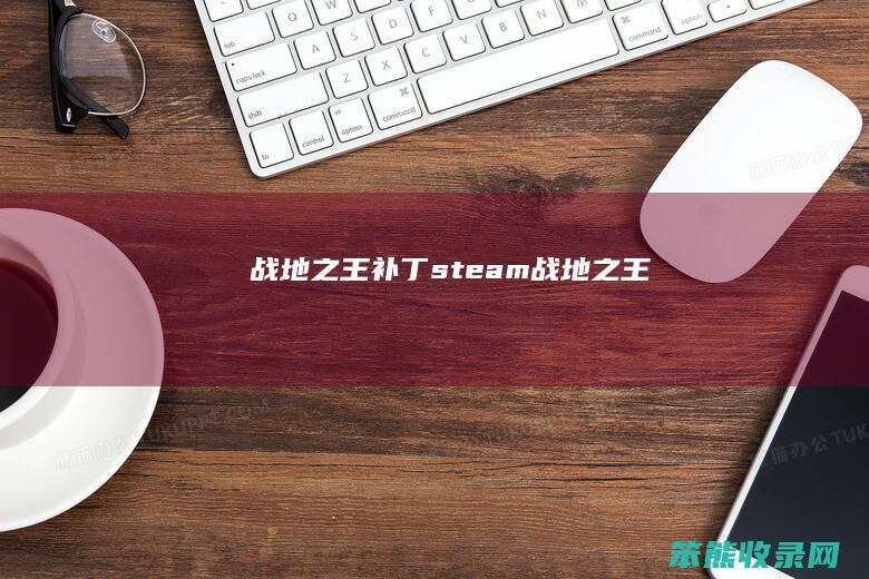 战地之王补丁（steam战地之王）