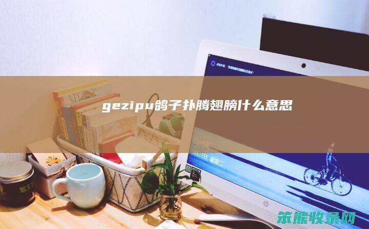gezipu（鸽子扑腾翅膀什么意思）