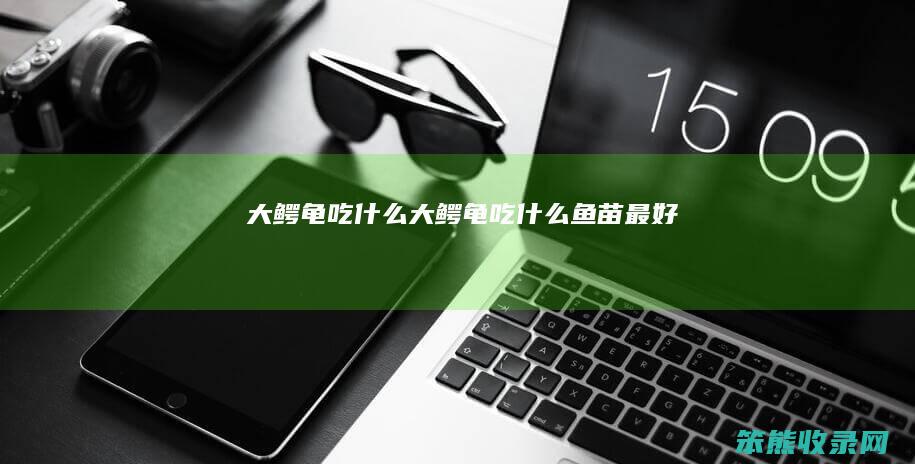 大鳄龟吃什么（大鳄龟吃什么鱼苗最好）