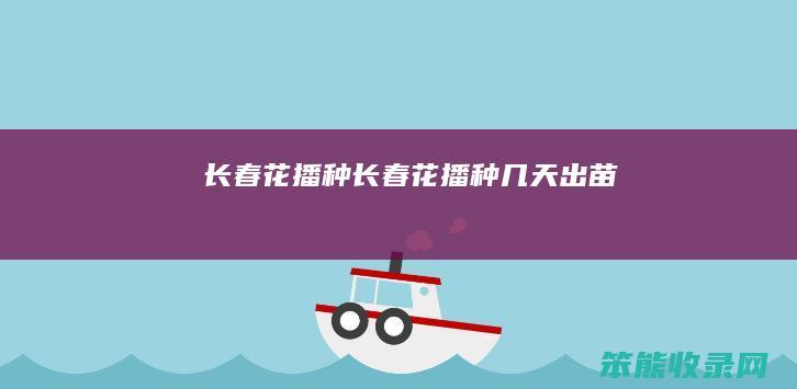 长春花播种（长春花播种几天出苗）