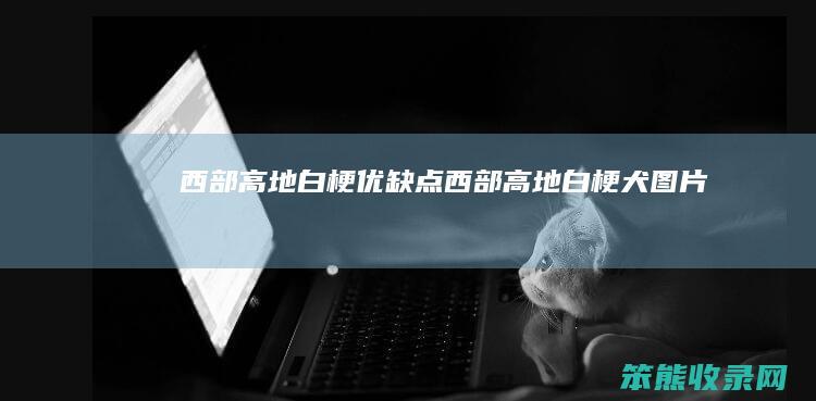 西部高地白梗优缺点（西部高地白梗犬图片）