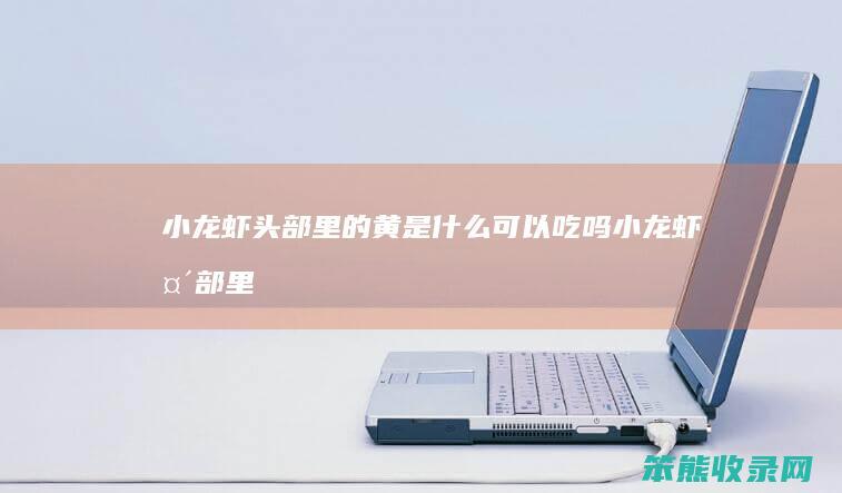 小龙虾头部里的黄是什么可以吃吗（小龙虾头部里的黄是什么可以吃吗）