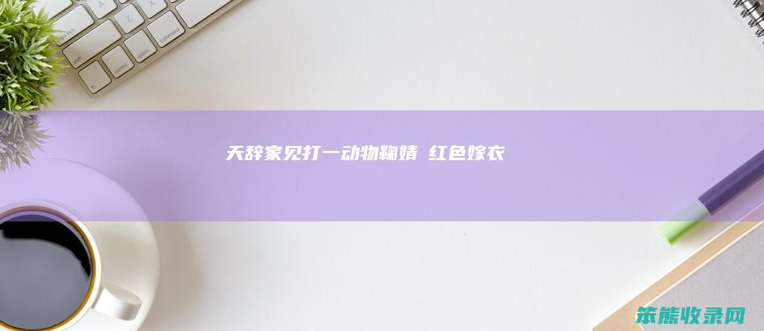 天辞家见打一动物（鞠婧祎红色嫁衣）