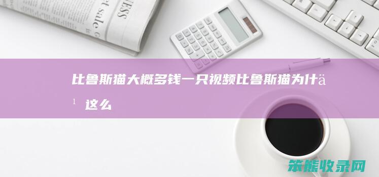 比鲁斯猫大概多钱一只视频（比鲁斯猫为什么这么贵）