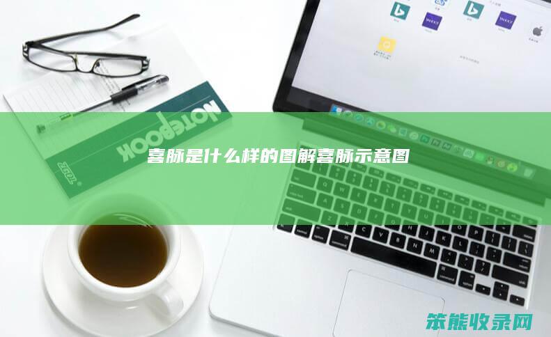 喜脉是什么样的图解（喜脉示意图）