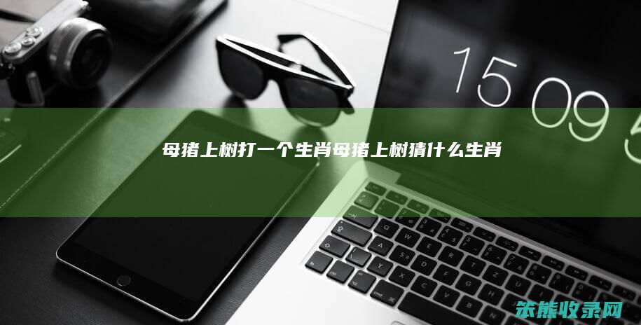 母猪上树打一个生肖（母猪上树猜什么生肖）