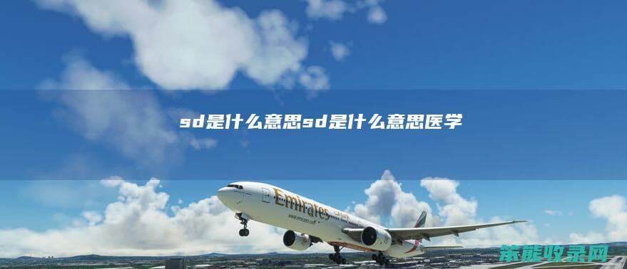 sd是什么意思（sd是什么意思医学）