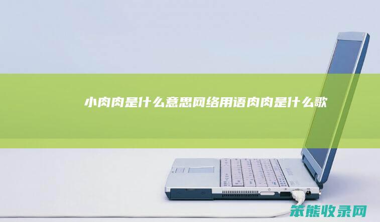 小肉肉是什么意思网络用语（肉肉是什么歌）