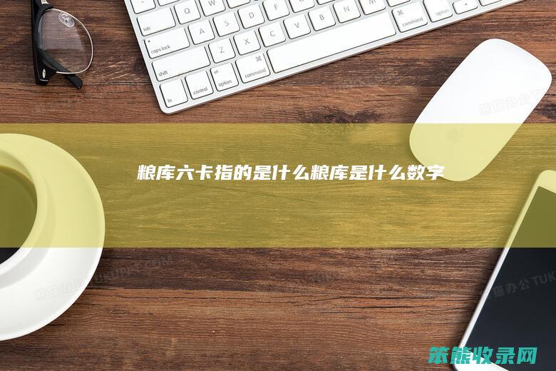粮库六卡指的是什么（粮库是什么数字）