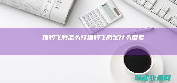 猎豹飞腾怎么样（猎豹飞腾是什么型号）