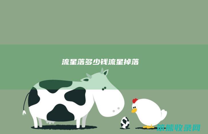 流星落多少钱(流星掉落)
