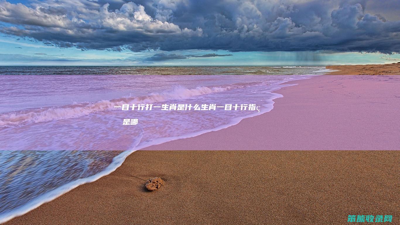 一目十行打一是一目十行指的是哪