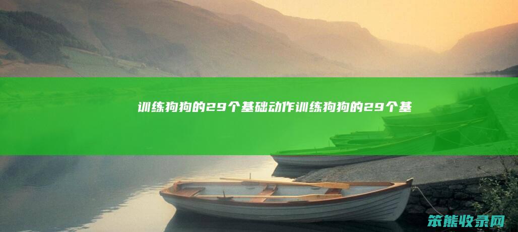 训练狗狗的29个基础动作（训练狗狗的29个基础动作顺序）
