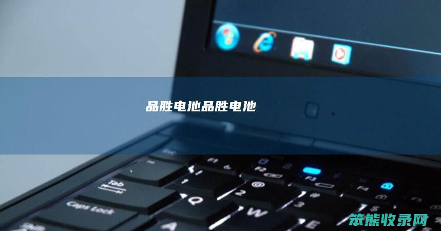 品胜电池（品胜电池）