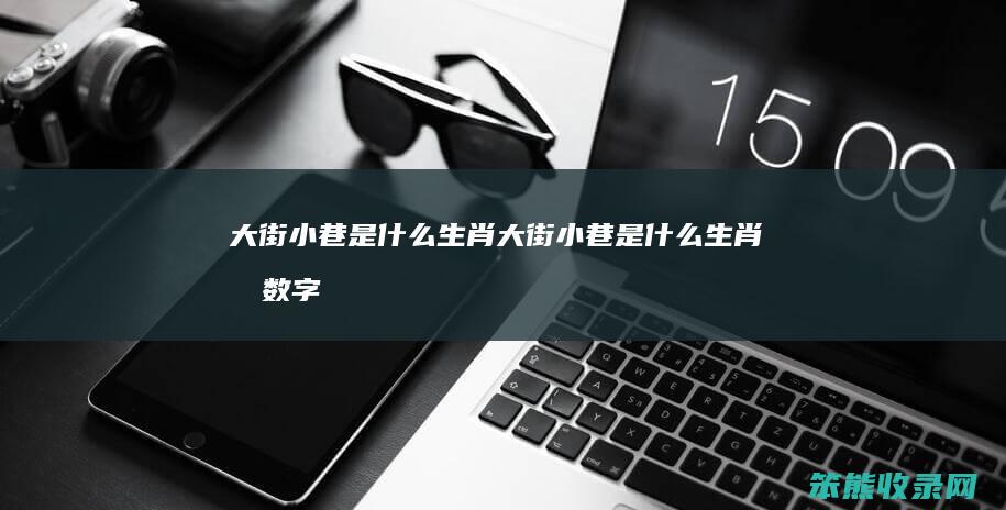 大街小巷是什么生肖（大街小巷是什么生肖和数字）