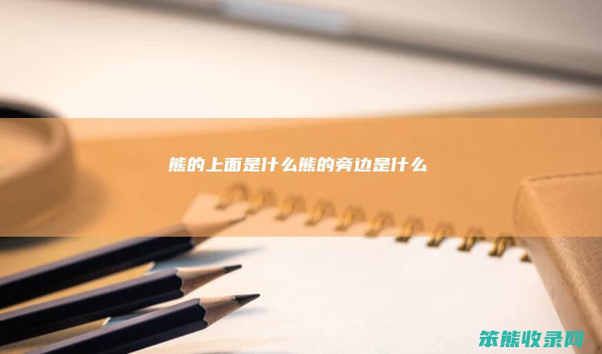 熊的上面是什么（熊的旁边是什么）