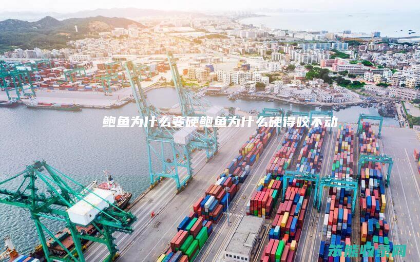 鲍鱼为什么变硬（鲍鱼为什么硬得咬不动）