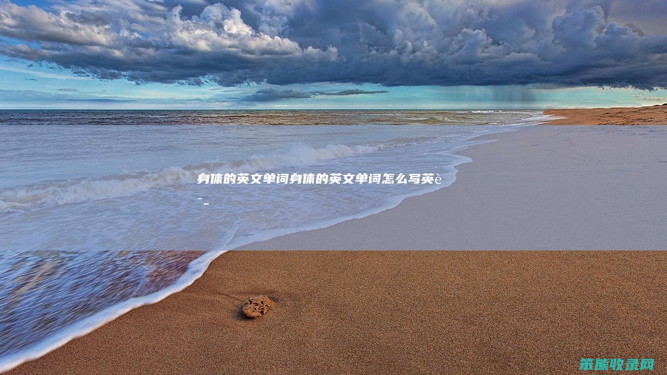 身体的英文单词（身体的英文单词怎么写英语）