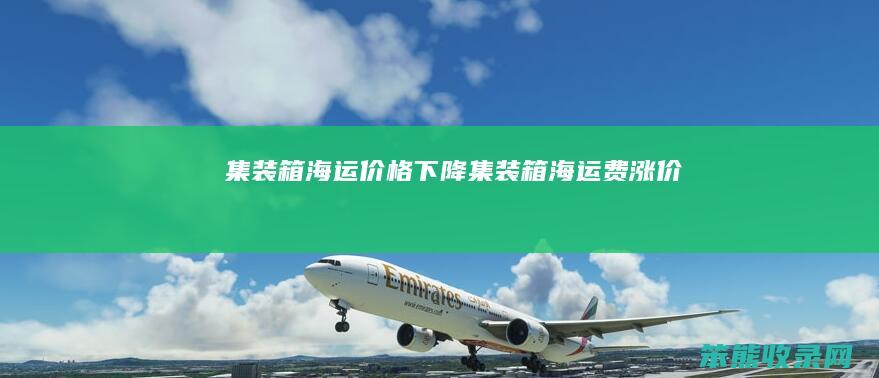 集装箱海运价格下降（集装箱海运费涨价）