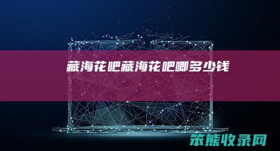 藏海花吧（藏海花吧唧多少钱）