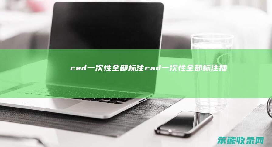 cad一次性全部标注（cad一次性全部标注插件）