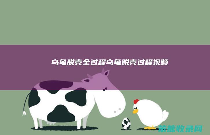 乌龟脱壳全过程（乌龟脱壳过程视频）