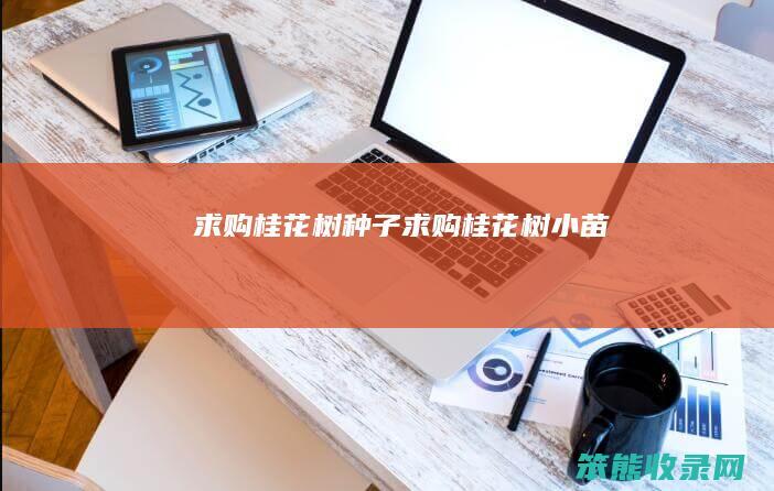 求购桂花树种子（求购桂花树小苗）